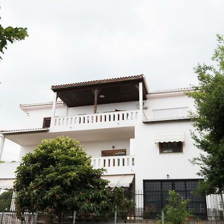 Bivas Nikolaos Villa PalaiónTsiflíkion Dış mekan fotoğraf